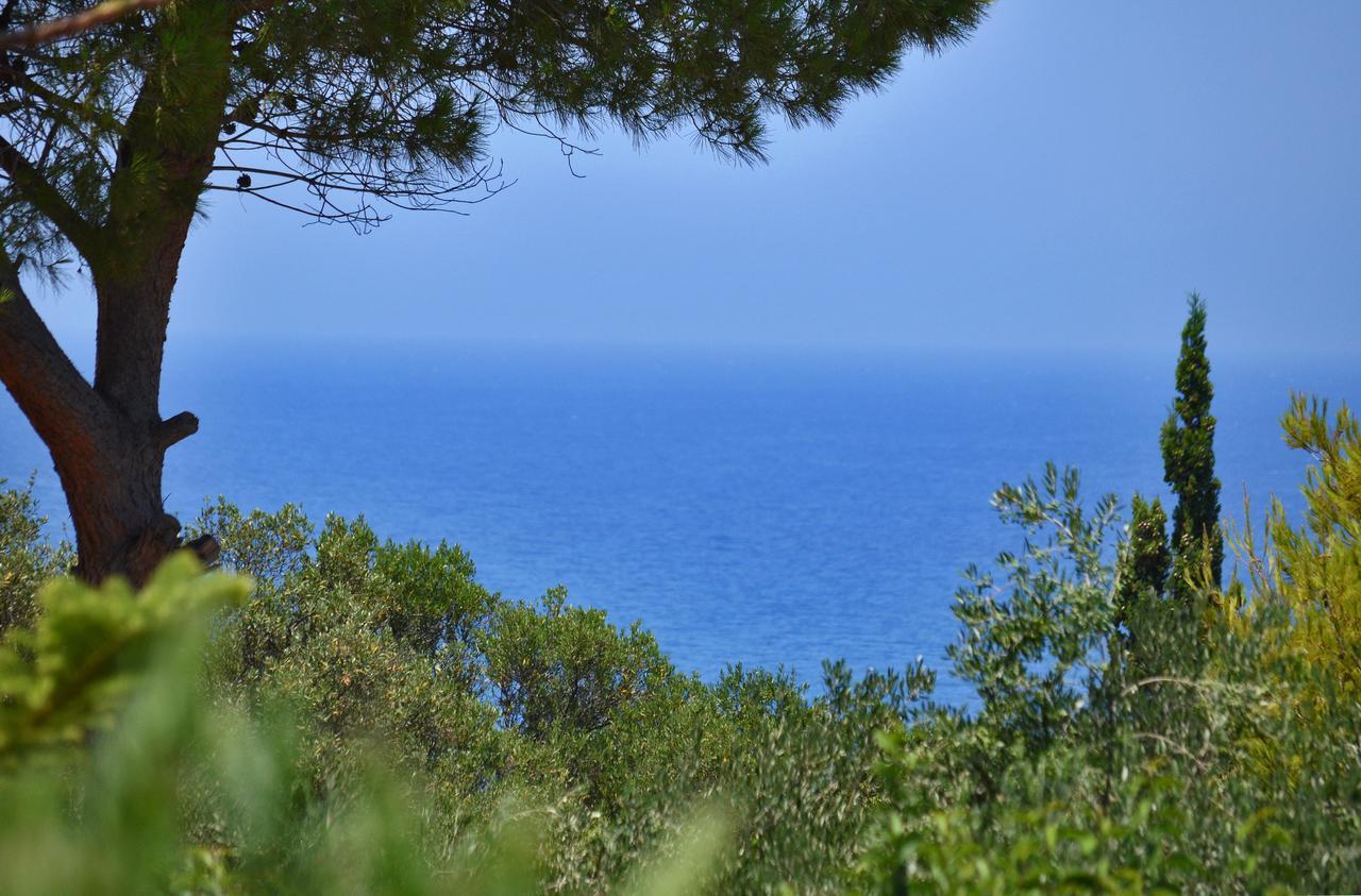 Sole E Mare Apartments Tsilivi  Exteriér fotografie